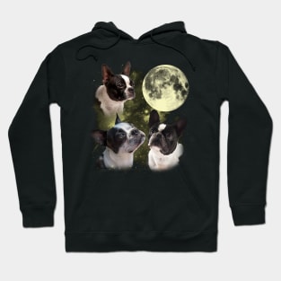 Boston Terriers The Moon Classic Dog Breed Hoodie